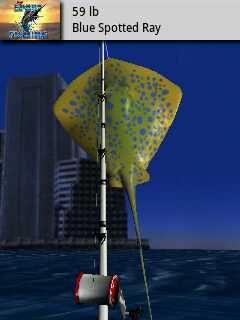 bigsportfishing gambar tidak aktif!