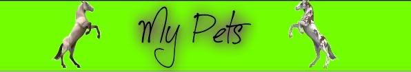 photo mypets_zpsc348fae4.jpg