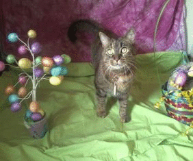 rincess gif photo smallprincesseastergif_zpsce5ae1b4.gif
