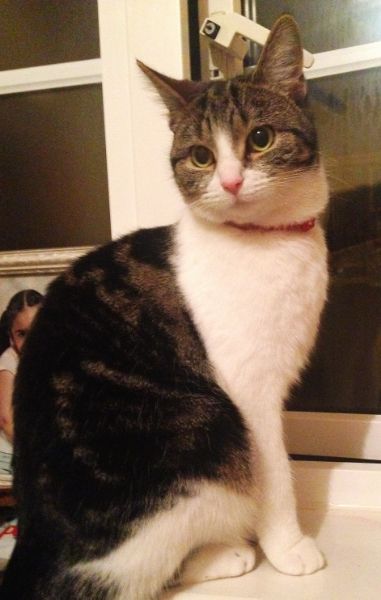 IMG_1025_zpsb1294fac.jpg?t=1421022208