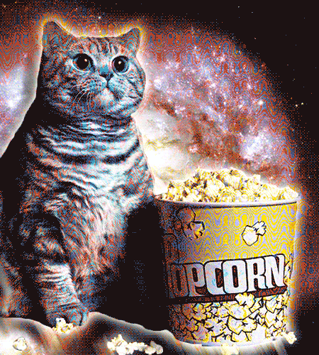 PopcornCat.gif