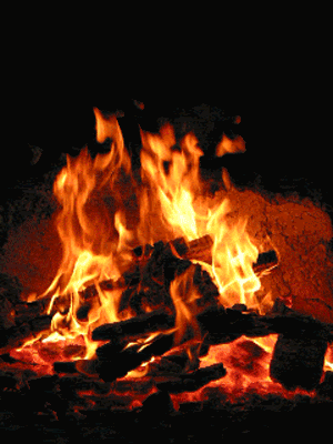 Campfire Pictures, Images and Photos