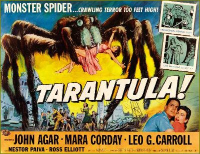 tarantula1