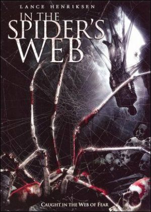 spiders_web1