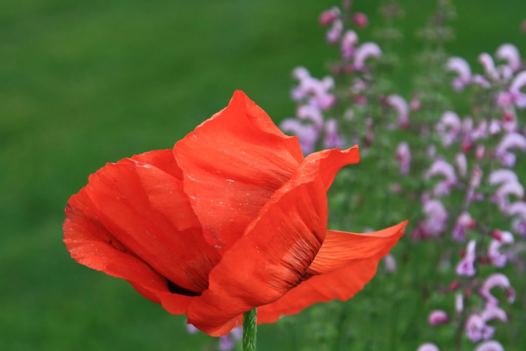 IMAGE: http://i1089.photobucket.com/albums/i349/crbnfibr/1baf8554.jpg