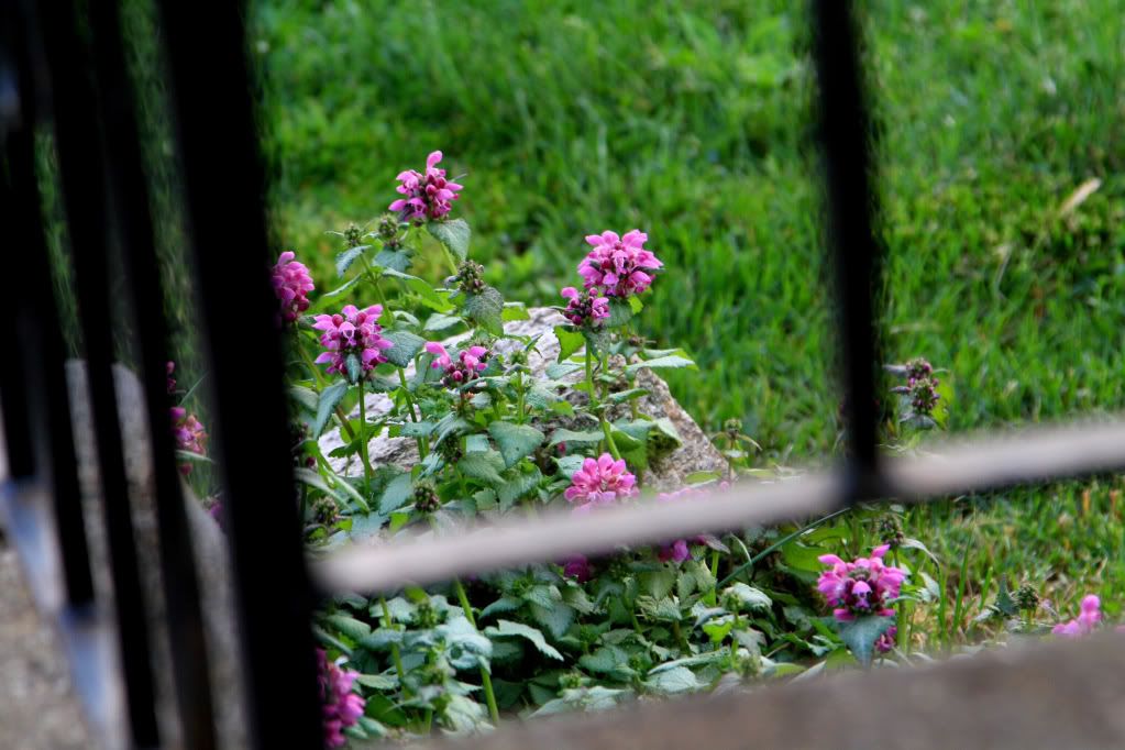 IMAGE: http://i1089.photobucket.com/albums/i349/crbnfibr/e559db2a.jpg