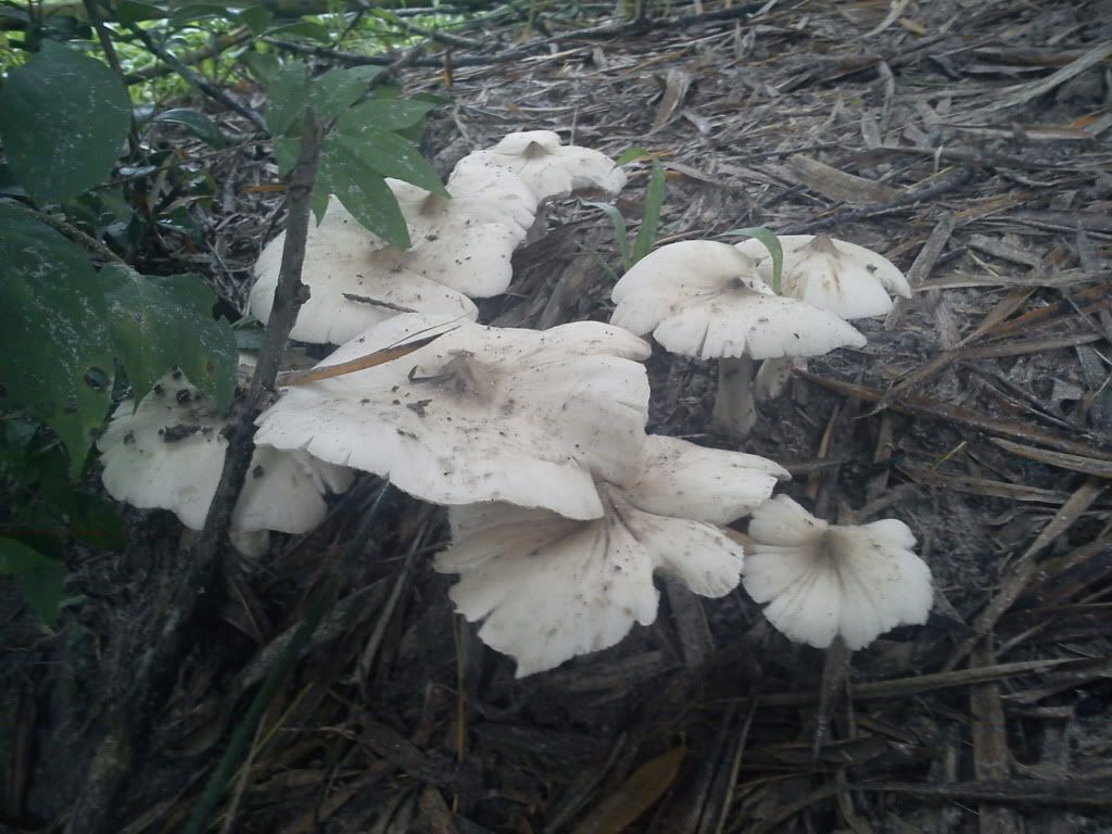 Gặp nhau cuối tuần  Club Tửu Lượng Vô Biên