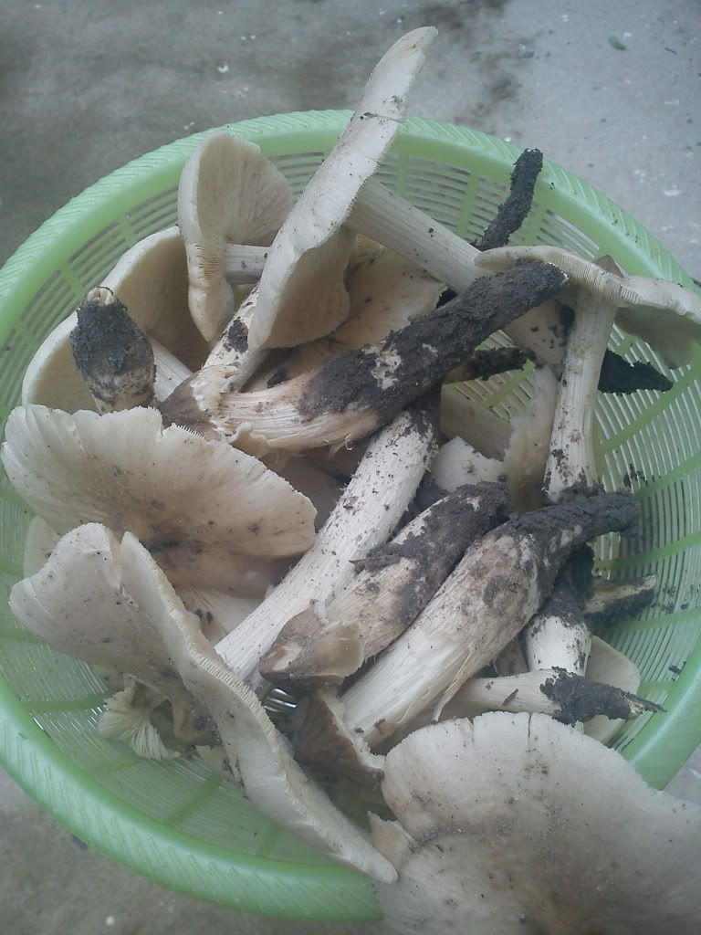 Gặp nhau cuối tuần  Club Tửu Lượng Vô Biên - 1