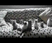heroinas heroinas