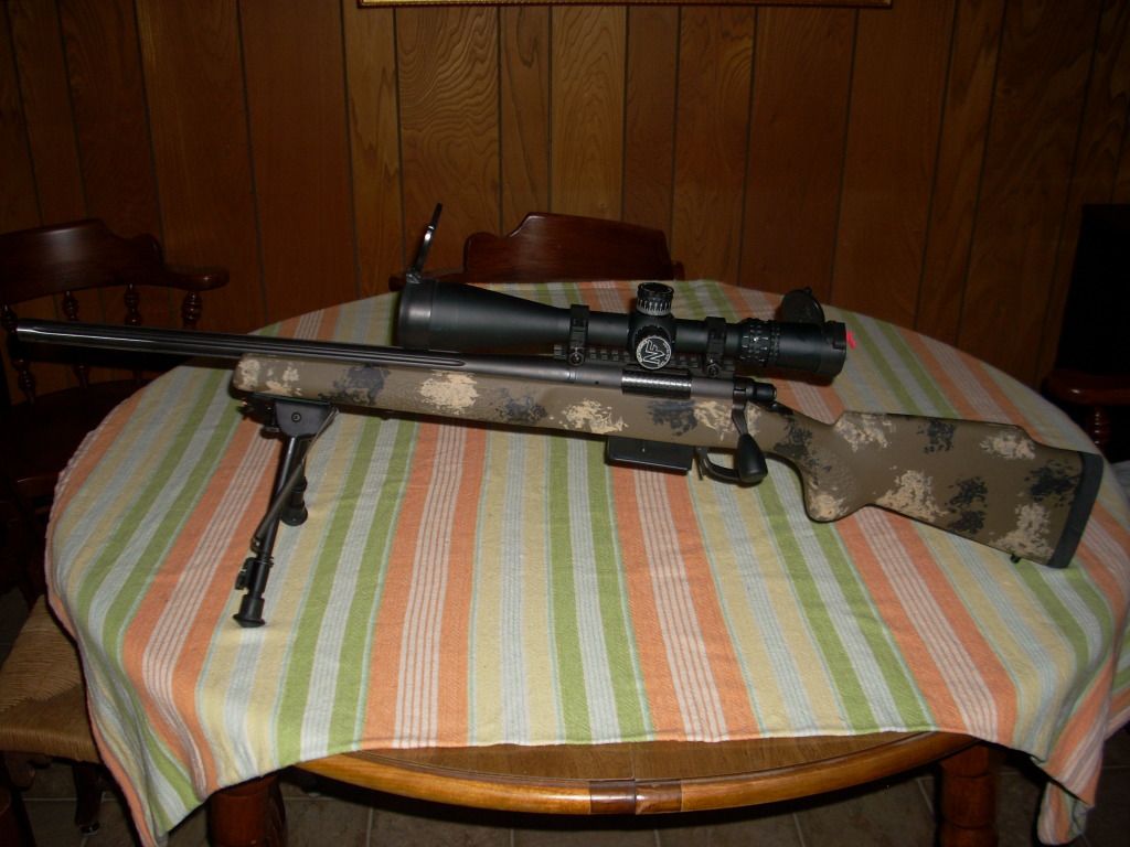 IOR001.jpg