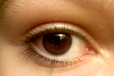 brown eye eyes eyelid eyelashes stare