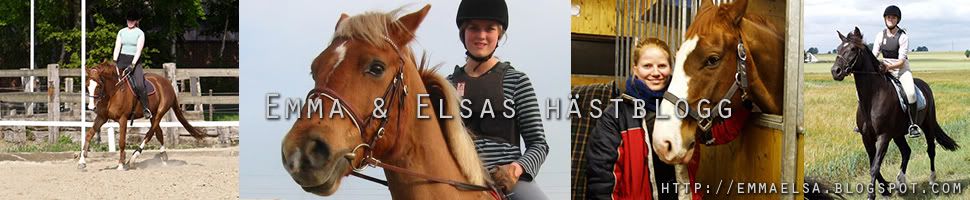 Emma och Elsas hästblogg