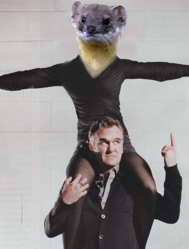 Morrissey Refusal Rapidshare