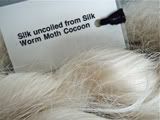 Silk made by a silk moth