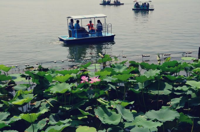 summer palace boats shared closet pekin