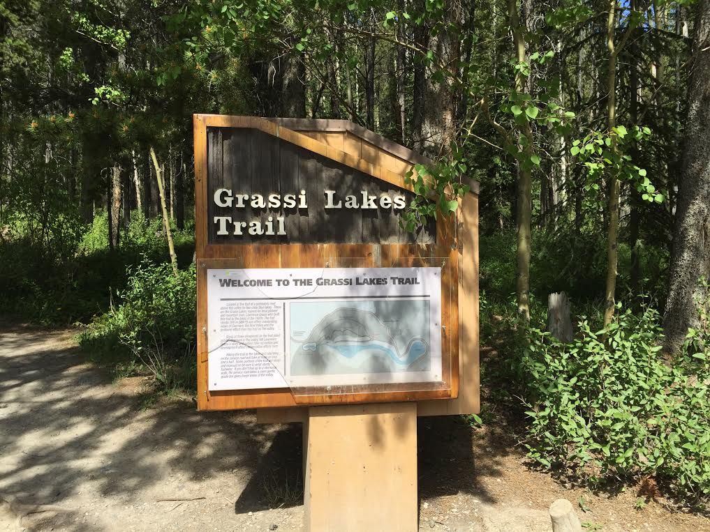 Grassii Lakes Canmore