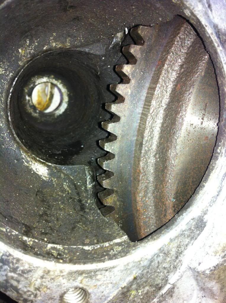 image-17.jpg
