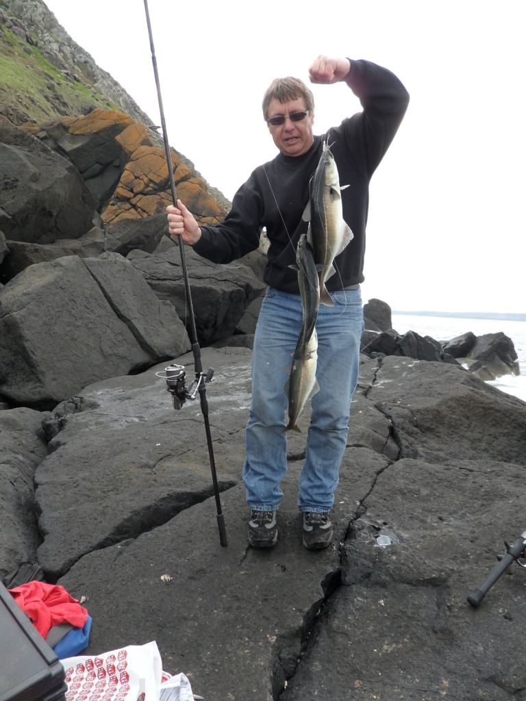 SAM_0474.jpg