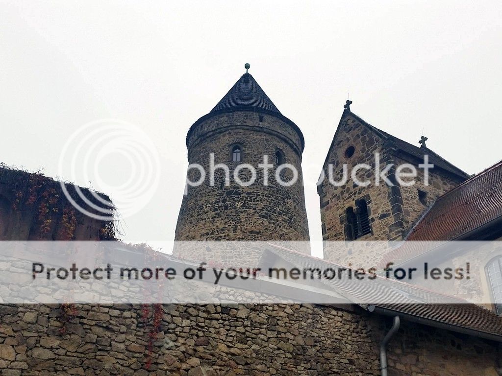 photo 14963702_1311978832199064_595535062_o.jpg