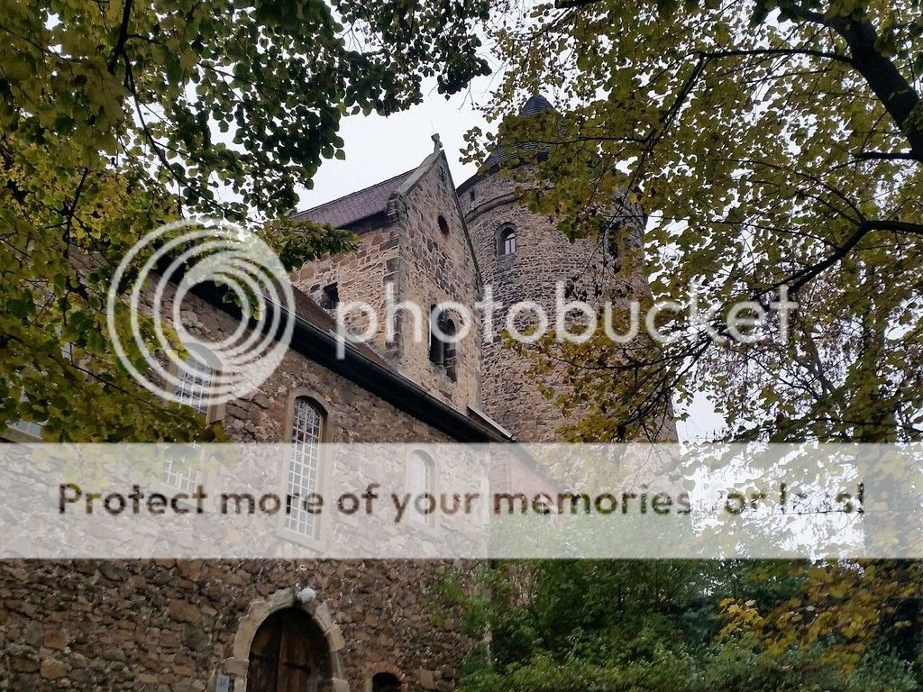 photo 14964020_1311978728865741_1217145656_o.jpg