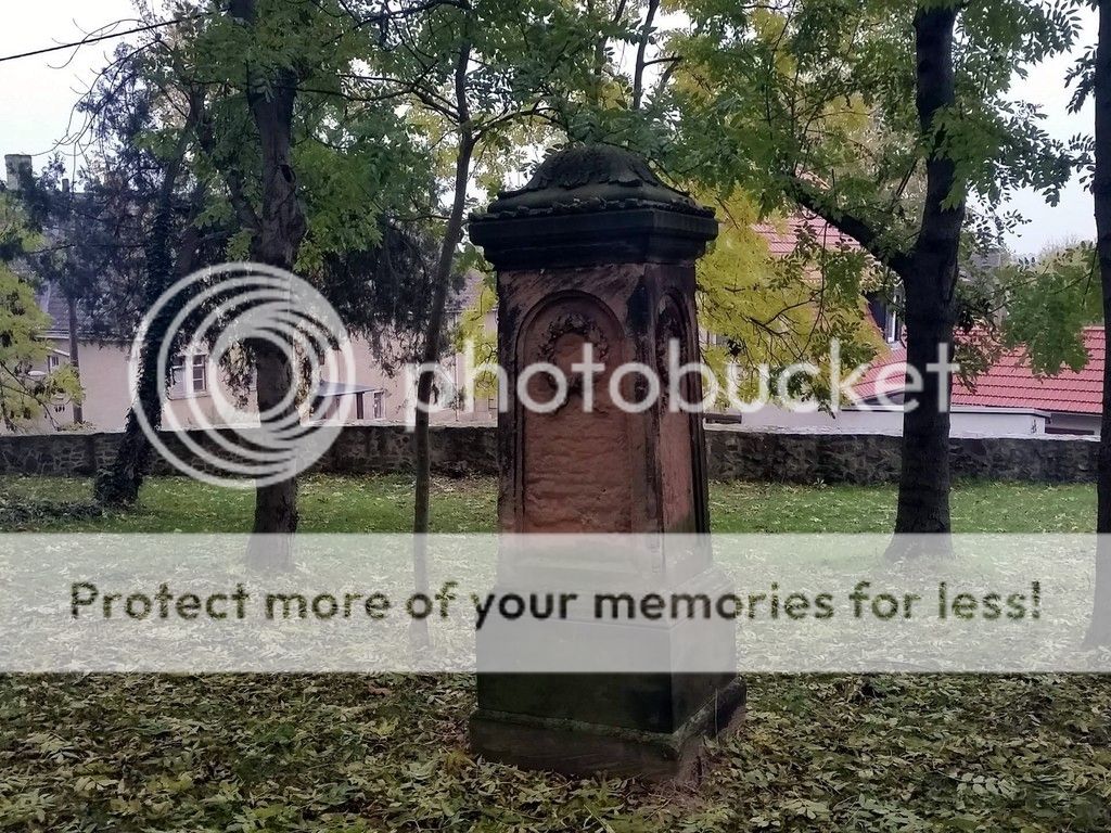 photo 14971636_1311978745532406_504256979_o.jpg