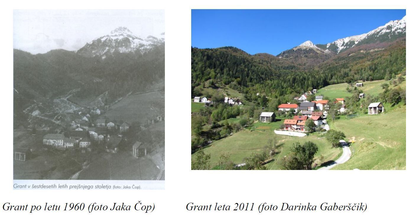 photo Zajeta slika2_zpsjnm0kjm0.jpg