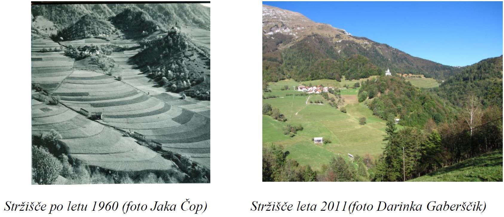 photo Zajeta slika4_zpsyvvrpbhq.jpg