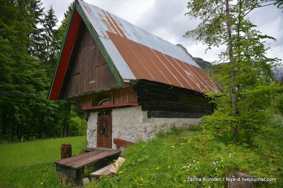 photo N71_8986_zpswub5kjqe.jpg